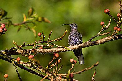 传闻：《消逝的光芒2》Xbox版容量是PS5版的两倍